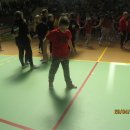 turta 267